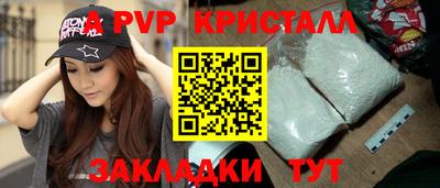 гашик Донской