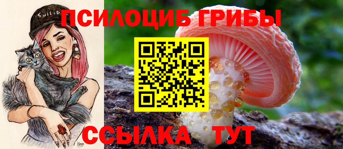 Галлюциногенные грибы мицелий  где купить наркоту  Малоярославец  Вход с VPN 